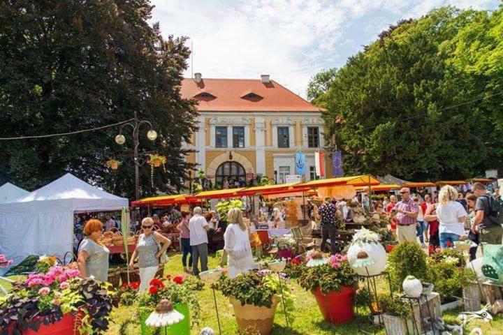 Der Kleine Bauernhof Keine Arbeiter Zadnych Pracownikow Appartement Lubiatow  Buitenkant foto